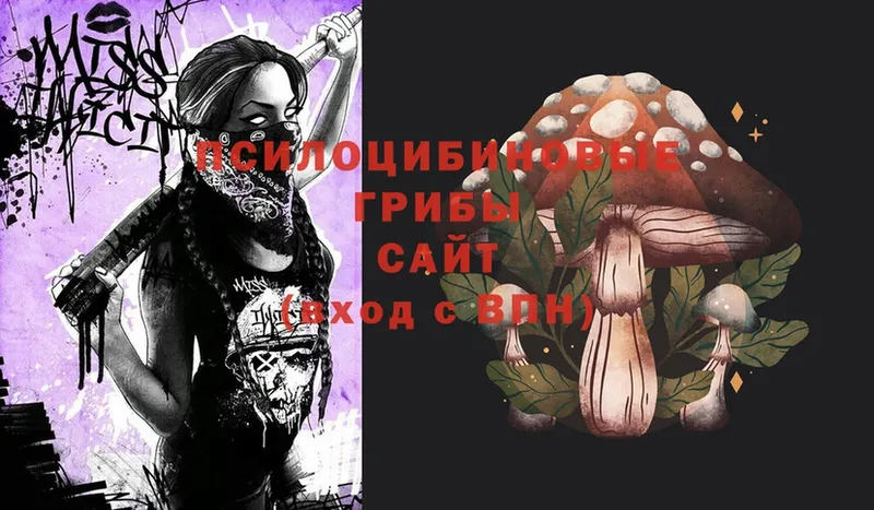 Псилоцибиновые грибы Magic Shrooms  наркота  Бронницы 